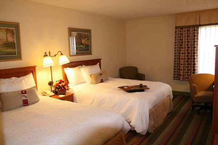 Hampton Inn Phoenix-Chandler Pokoj fotografie